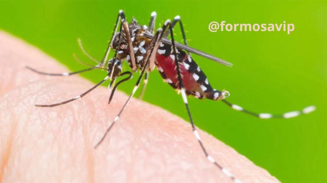 Alerta de Dengue: Vamos vistoriar nossa casa para prevenir o avanço do Aedes aegypti