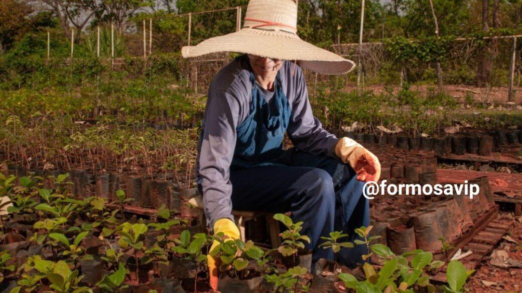 Segundo Caged Formosa liderou a criação de empregos no agro, veja vagas