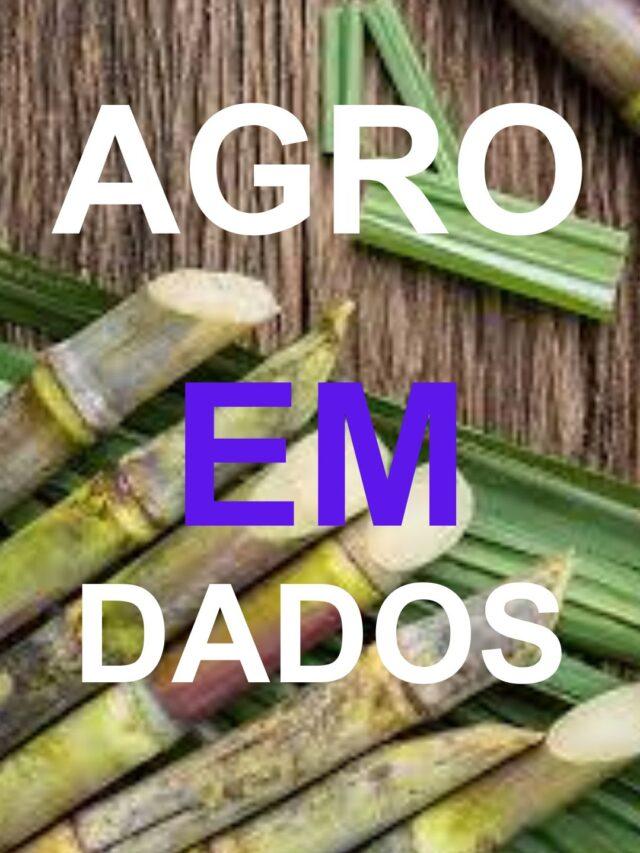 Agro em Dados Maio de 2024