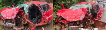Acidente na BR 020 FORMOSA carro caminhão