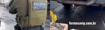 Pescador preso pesca predatória em Formosa